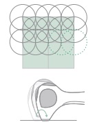 トリア　脱毛器　照射エリア　図解